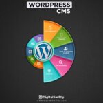 Web Design and Development in the USA