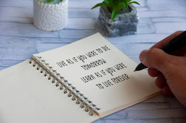 Crafting the Perfect VIP Instagram Bio for Girls