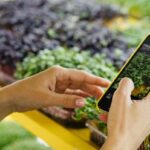 Enhancing Shopping Efficiency with Grocery Apps in 2024