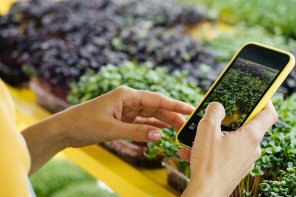 Enhancing Shopping Efficiency with Grocery Apps in 2024