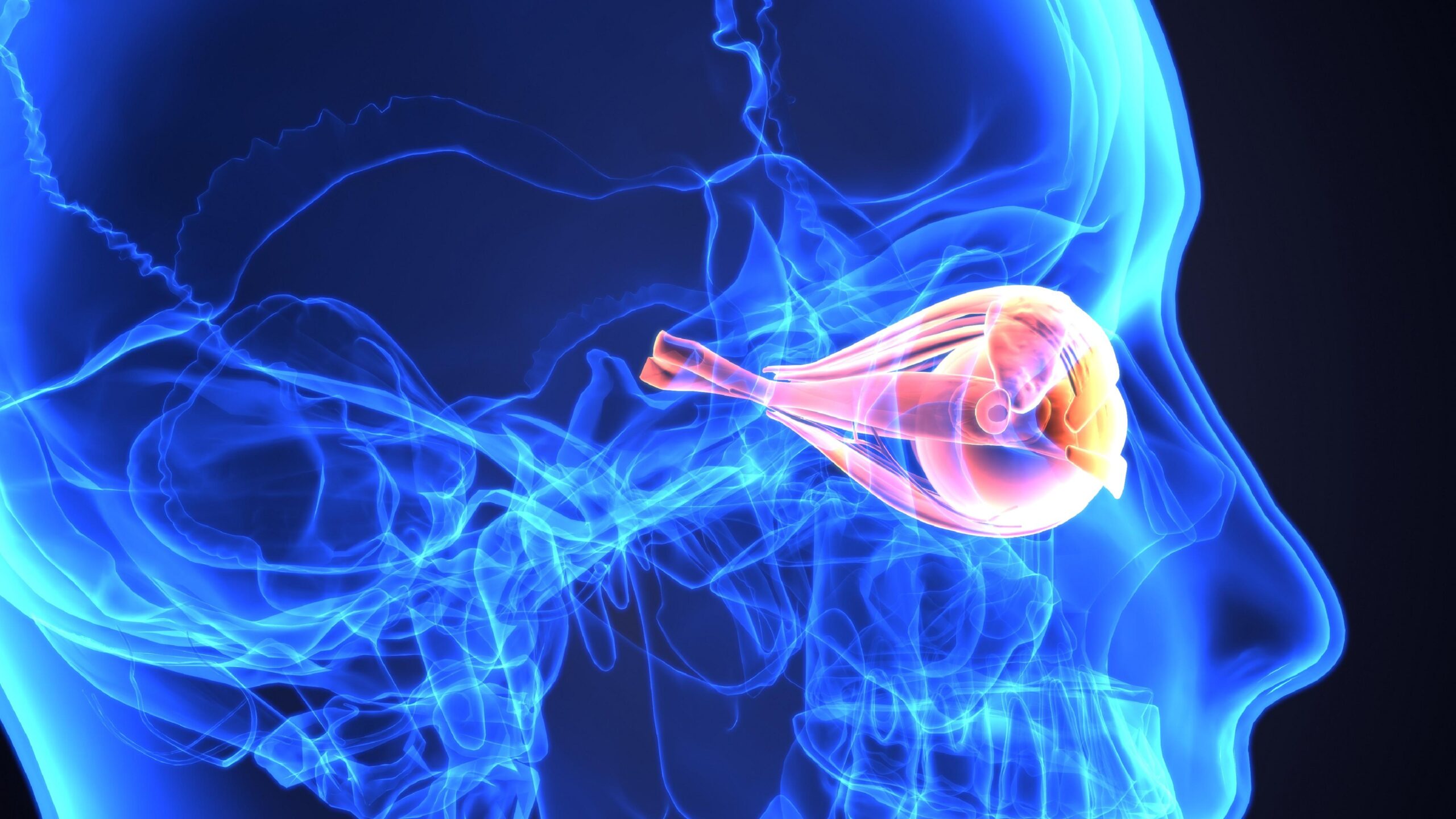 Optic Nerve Disorders Treatment Market Trends Report to 2032