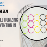Silicone Seal Ring