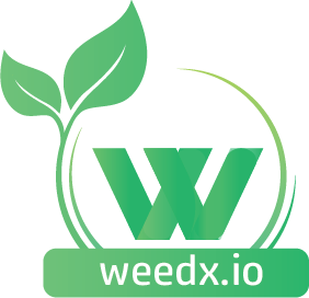 Medical vs. Recreational Marijuana: Key Distinctions