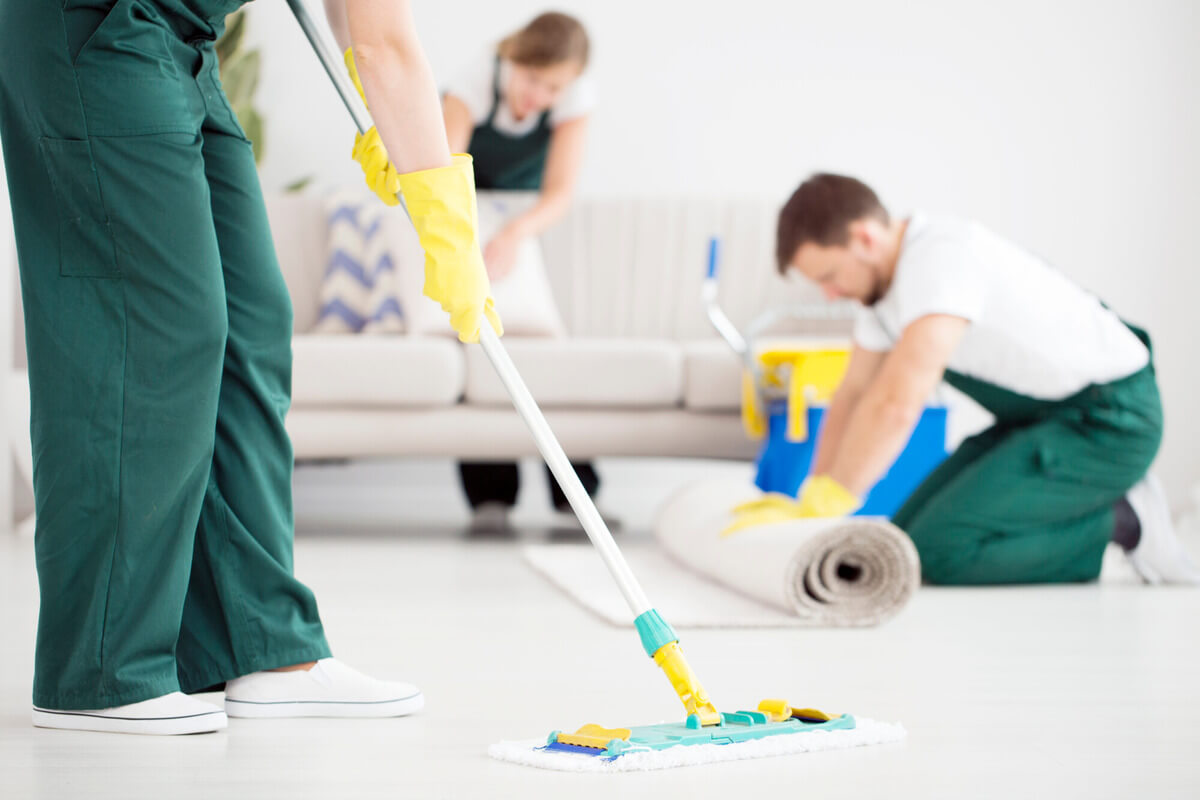 Carpet Cleaning Appointment
