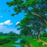 First Trip to Bangladesh