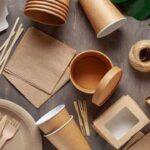 Rice Husk Based Biodegradable Disposable Cups and Plates Manufacturing Plant Project Report