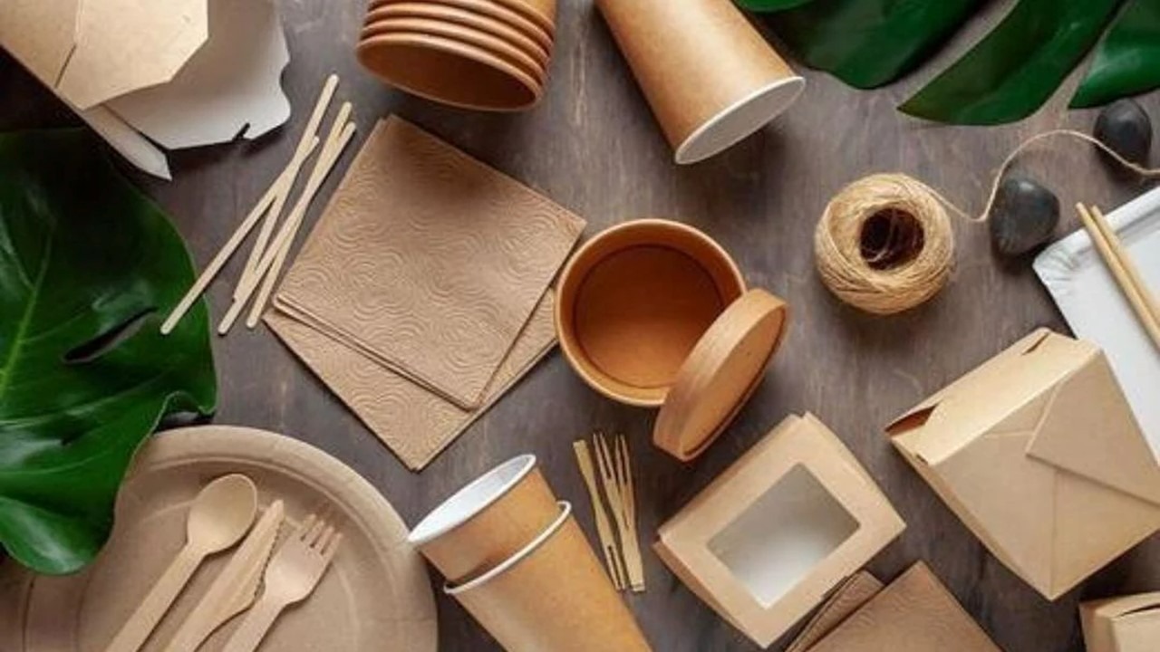 Rice Husk Based Biodegradable Disposable Cups and Plates Manufacturing Plant Project Report