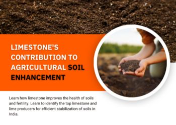 Limestone’s Contribution to Agricultural Soil Enhancement