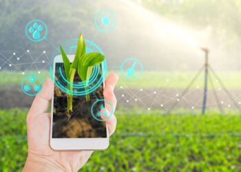 Sustainable Agriculture Recruiter: Your Path to a Rewarding Career