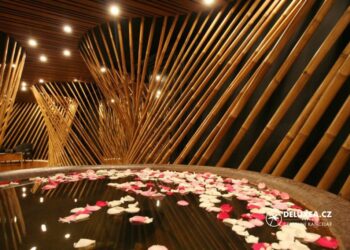 Experience Ultimate Relaxation at the Best Houston Spa: Facial and Body Massage Treatments You Can’t Miss