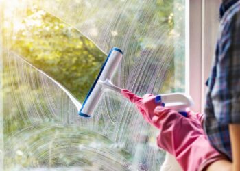 Why Window Cleaning Services in Hilton Head, SC Are Essential for Your Home and Business