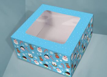 Avoid Costly Mistakes: Choosing the Best Custom Cake Boxes