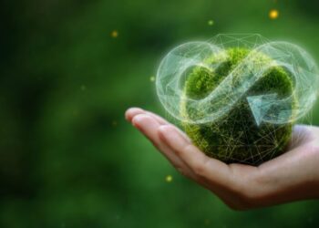 The Role of a Circular Economy Recruiter: Shaping the Future of Sustainability