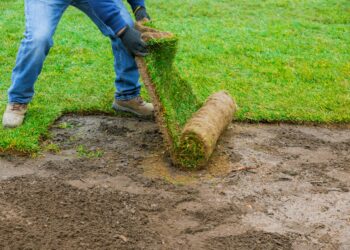 How to Install Sod in Extreme Temperatures